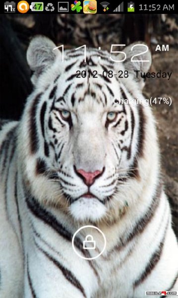 White tiger GO locker theme