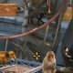 Little Shop World Travel RUS Nok-208x208