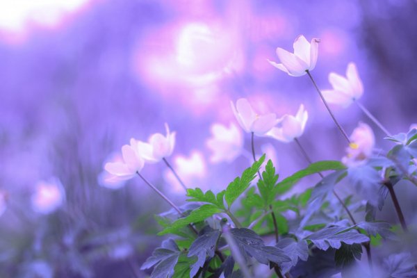 Img (47)