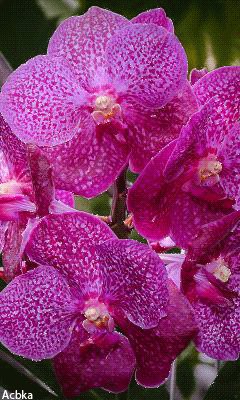 file_58303657