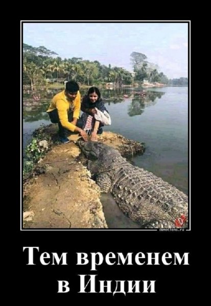 Тем временем в Индии