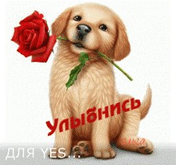 улыбнись