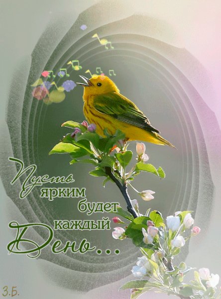 file_58500806