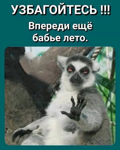 file_103527300