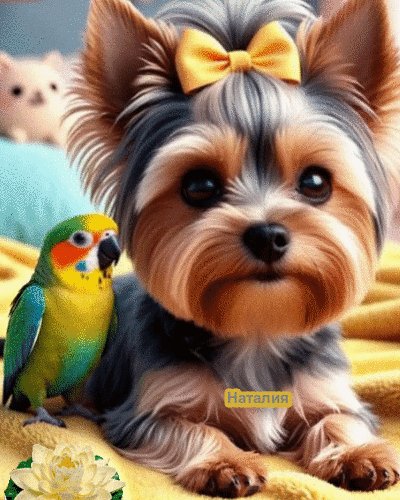 file_100288690