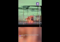 Испания. танцы со свастикой