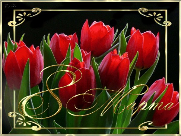 0 13fb00 28884967 orig