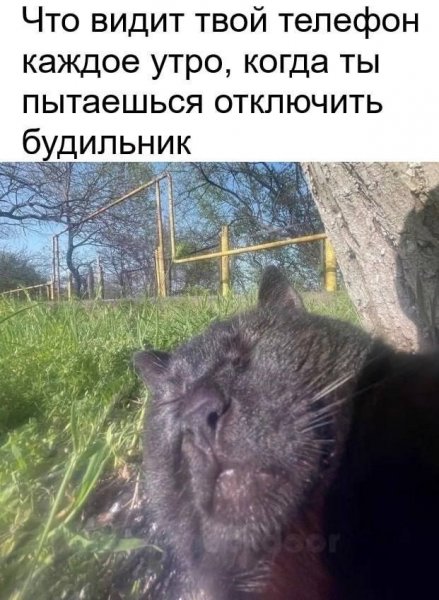 Ad3be04b2bec0959e204f0a553b8b783