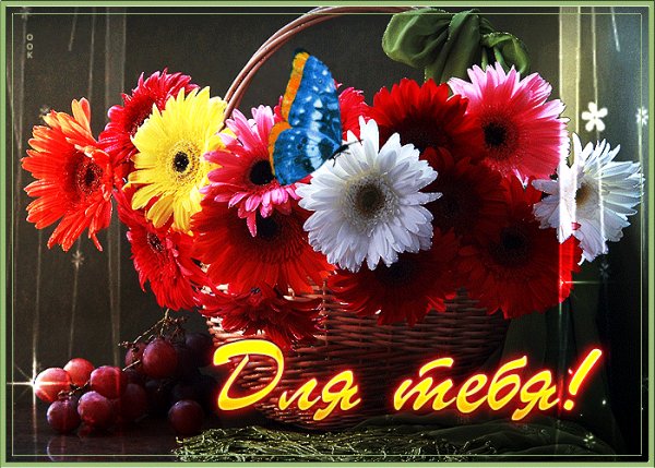 file_99004959