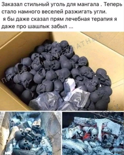 file_103499463