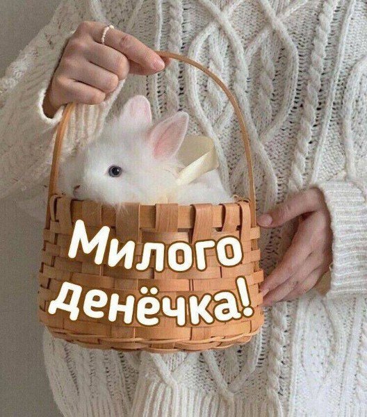 file_94780248