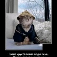 file_103603305