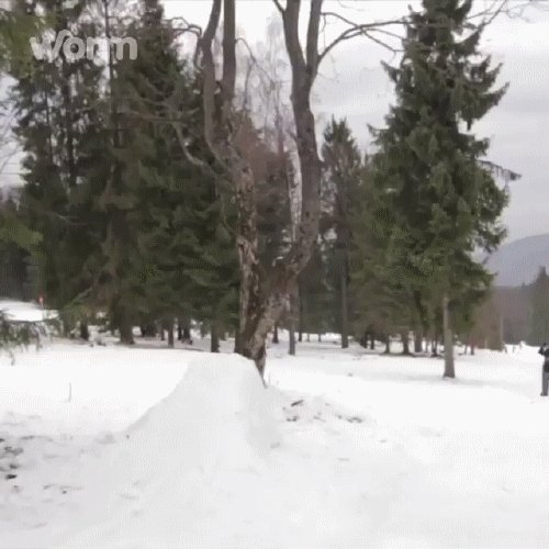 29.01.2017 - 1