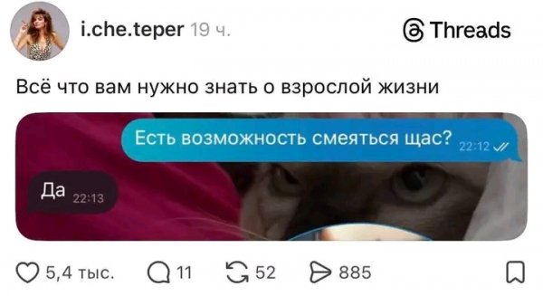 file_103559112