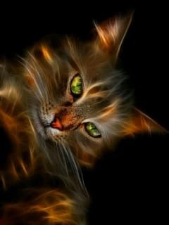 Mistic Cat