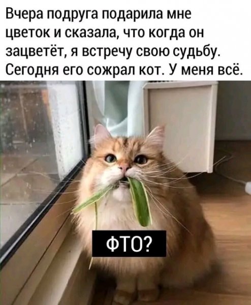 file_103530762