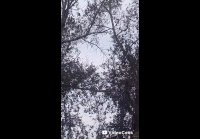 Сергей Ганин "Воспарила душа..."