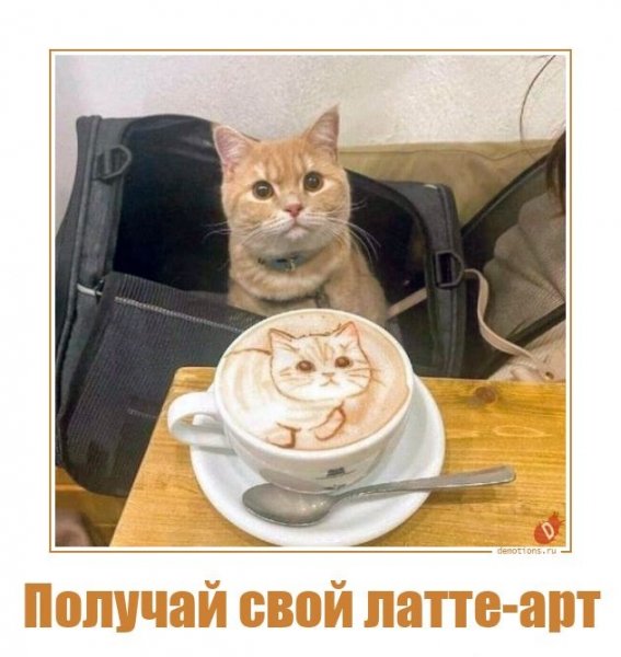 Получай свой латте