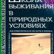 Школа выживания в природных условиях