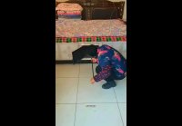 video_97650279