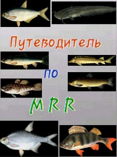Супер путеводитель по MRR