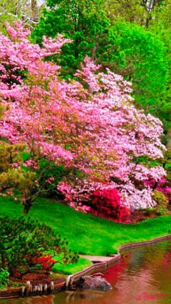 file_52435086