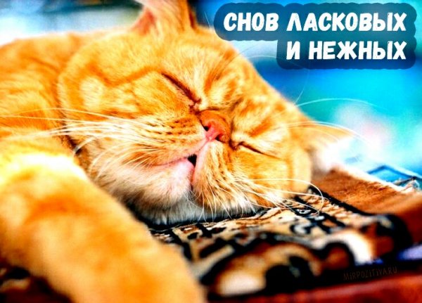 IMG 20181017 155853 997
