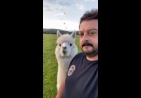 video_109813094