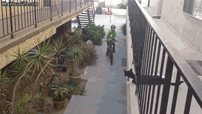 gifs 12
