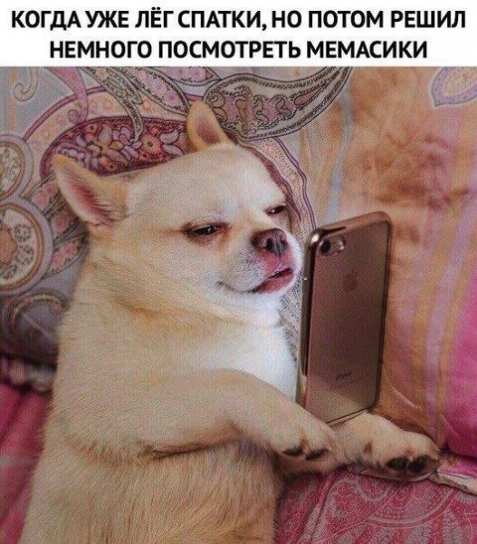 IMG 20260926 210506 268