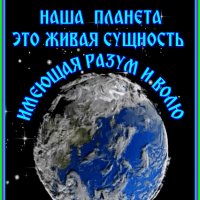 file_65884055