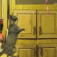 gifs 16