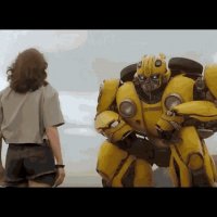 Bumblebee-transformer