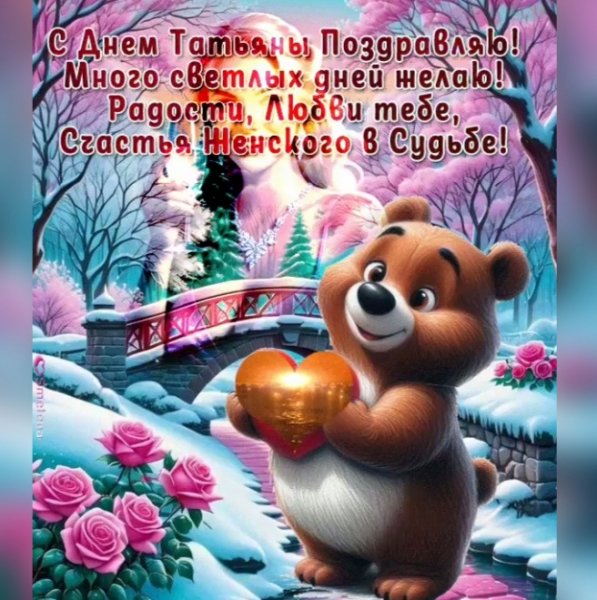IMG 20260125 124833
