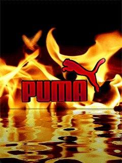 (R)Puma2