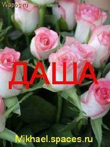 Dasha