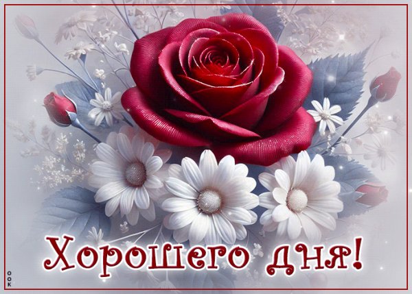 file_99002846