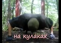 Комплекс для отработки ударов дома