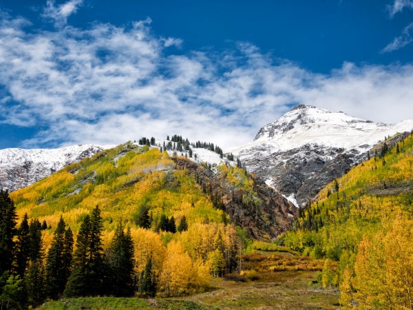 горы лес снег деревья природа..file