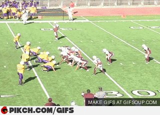 gifs qrmqs