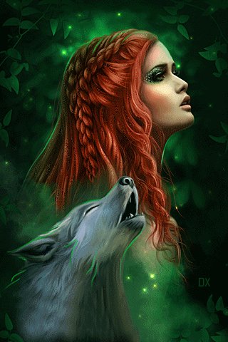 file_62279529