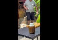 VID-20250224-WA0012
