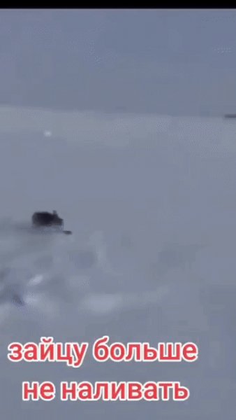 На охоте....