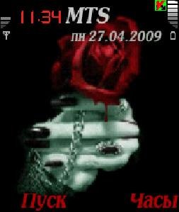 Red rose by Fargus. 0 1