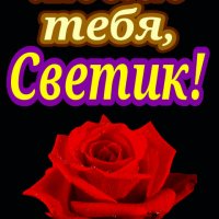 люблюТебяСветик(роза)