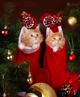 file_89181721