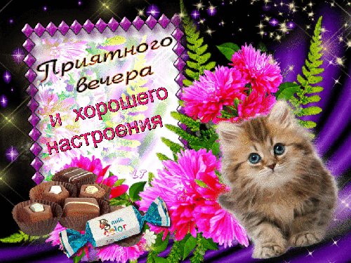 Приятного вечера и хорошего настроения