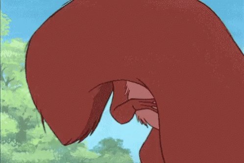 Hi