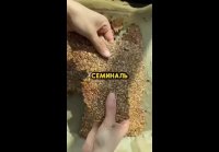 Videoplayback (79)
