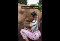 Хорошо в деревне летом